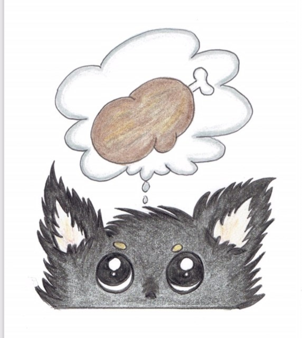 埼玉県越谷市のペットショップで作ってる犬用おやつは猫ちゃんにも！