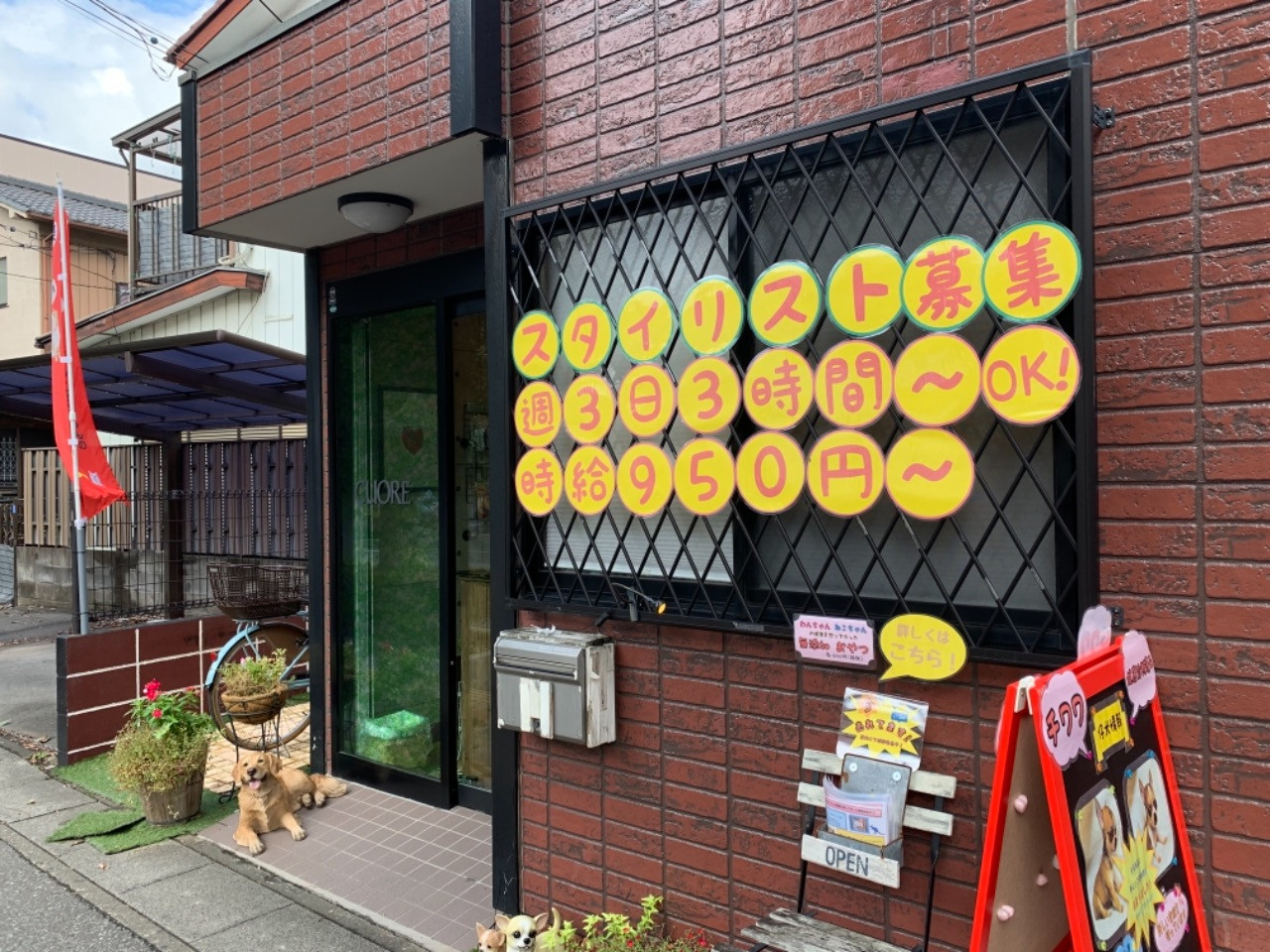 埼玉県越谷市にあるペットショップです