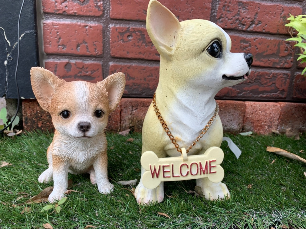 埼玉越谷にある美容室でペット用漢方薬