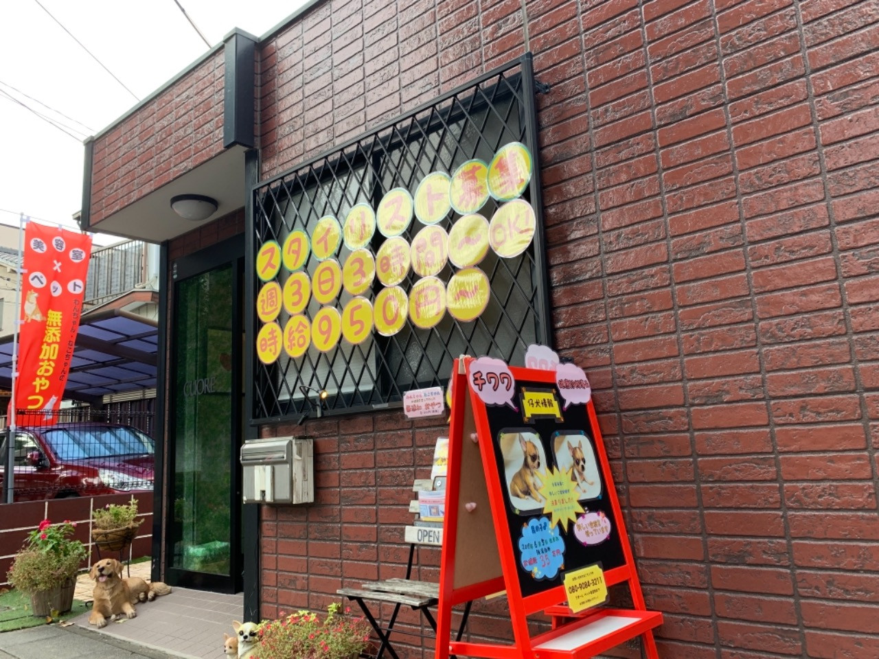 越谷の美容室でペットショップ⁈クオーレへようこそ！