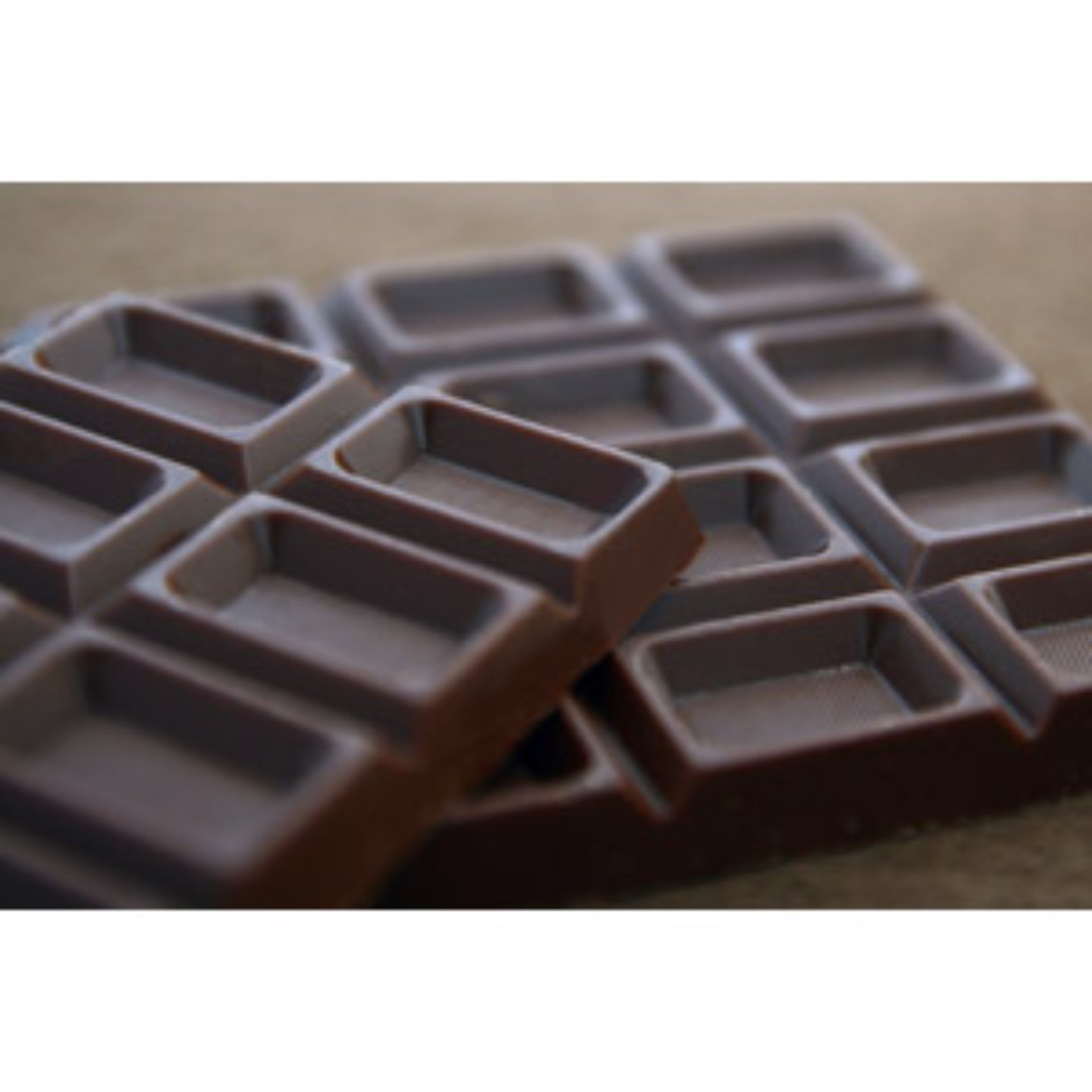 埼玉で犬を安心して購入できるペットショップ